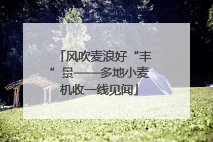 风吹麦浪好“丰”景——多地小麦机收一线见闻
