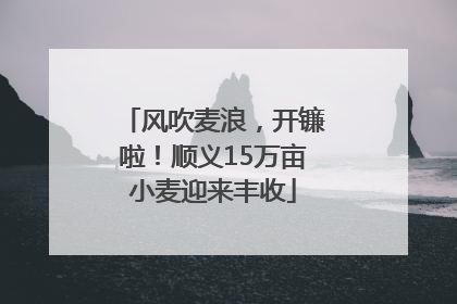 风吹麦浪，开镰啦！顺义15万亩小麦迎来丰收