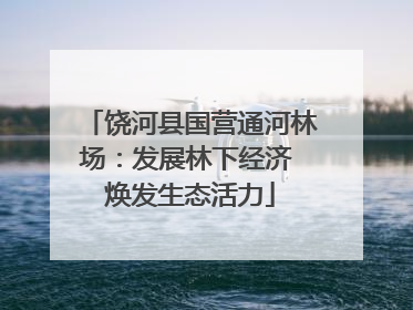饶河县国营通河林场：发展林下经济 焕发生态活力