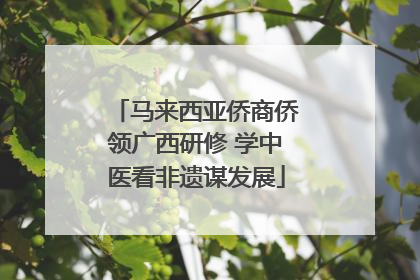 马来西亚侨商侨领广西研修 学中医看非遗谋发展