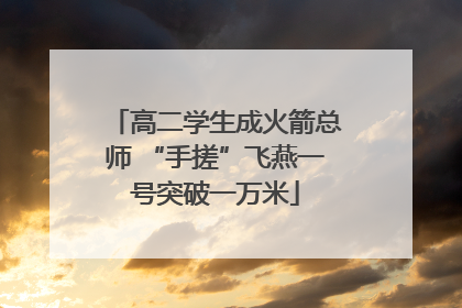 高二学生成火箭总师 “手搓”飞燕一号突破一万米