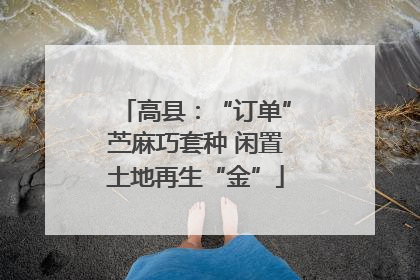 高县：“订单”苎麻巧套种 闲置土地再生“金”