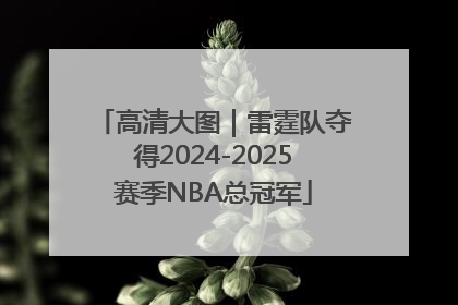 高清大图｜雷霆队夺得2024-2025赛季NBA总冠军