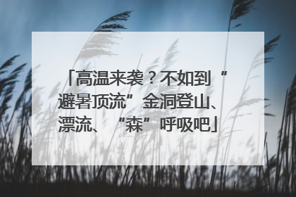 高温来袭？不如到“避暑顶流”金洞登山、漂流、“森”呼吸吧