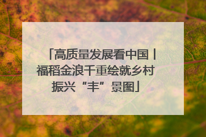 高质量发展看中国丨福稻金浪千重绘就乡村振兴“丰”景图