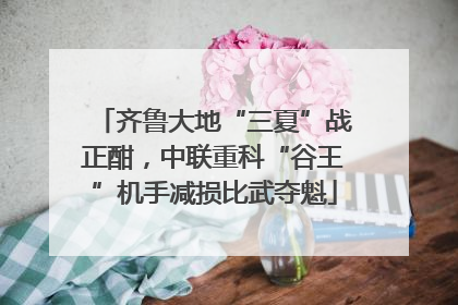齐鲁大地“三夏”战正酣，中联重科“谷王”机手减损比武夺魁