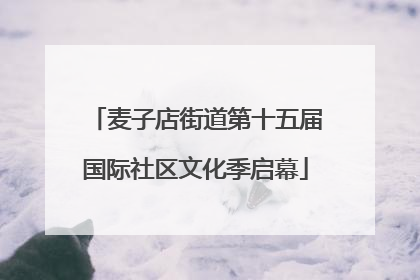 麦子店街道第十五届国际社区文化季启幕