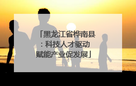黑龙江省桦南县：科技人才驱动 赋能产业促发展