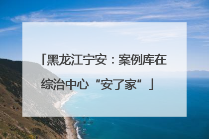 黑龙江宁安：案例库在综治中心“安了家”