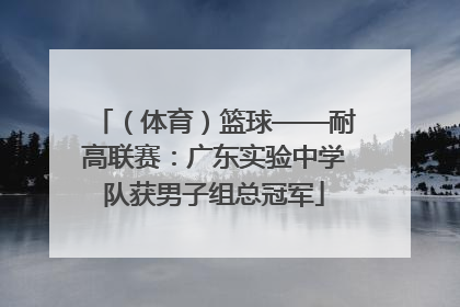 （体育）篮球——耐高联赛：广东实验中学队获男子组总冠军