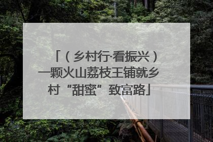 （乡村行·看振兴）一颗火山荔枝王铺就乡村“甜蜜”致富路