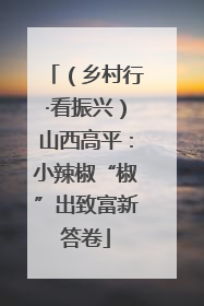 （乡村行·看振兴）山西高平：小辣椒“椒”出致富新答卷