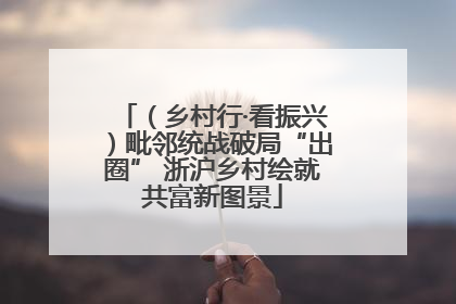 （乡村行·看振兴）毗邻统战破局“出圈” 浙沪乡村绘就共富新图景
