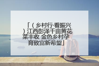 （乡村行·看振兴）江西彭泽千亩黄花菜丰收 金色乡村孕育致富新希望