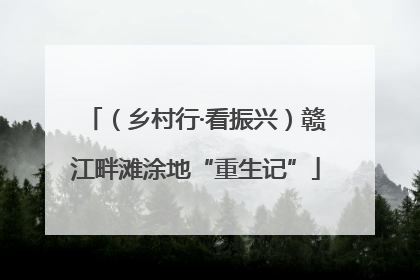 （乡村行·看振兴）赣江畔滩涂地“重生记”