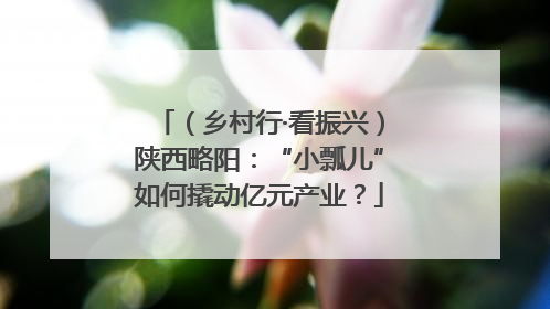 （乡村行·看振兴）陕西略阳：“小瓢儿”如何撬动亿元产业？
