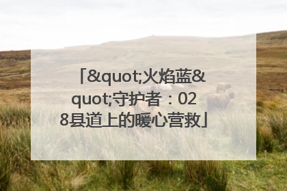 "火焰蓝"守护者：028县道上的暖心营救