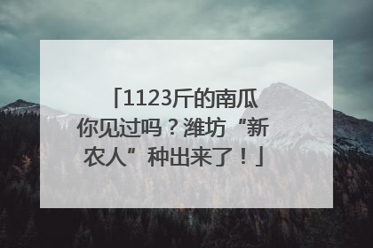 1123斤的南瓜你见过吗？潍坊“新农人”种出来了！