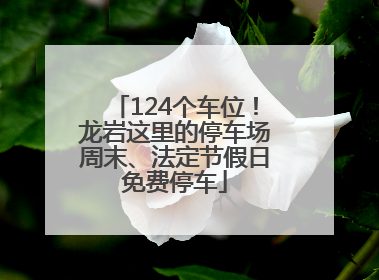 124个车位！龙岩这里的停车场周末、法定节假日免费停车