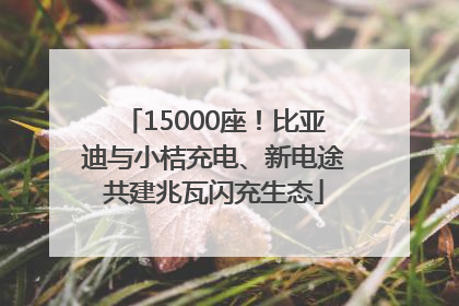 15000座！比亚迪与小桔充电、新电途共建兆瓦闪充生态