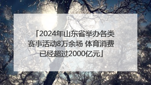 2024年山东省举办各类赛事活动8万余场 体育消费已经超过2000亿元