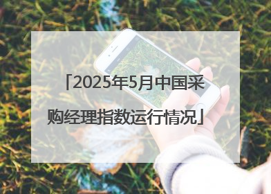 2025年5月中国采购经理指数运行情况