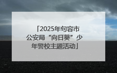 2025年句容市公安局“向日葵”少年警校主题活动
