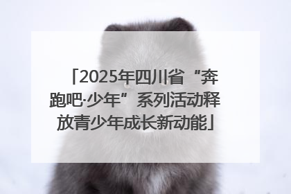 2025年四川省“奔跑吧·少年”系列活动释放青少年成长新动能