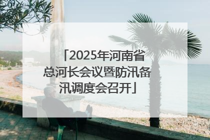 2025年河南省总河长会议暨防汛备汛调度会召开
