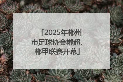 2025年郴州市足球协会郴超、郴甲联赛开幕