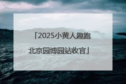 2025小黄人趣跑北京园博园站收官