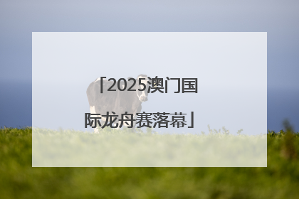 2025澳门国际龙舟赛落幕