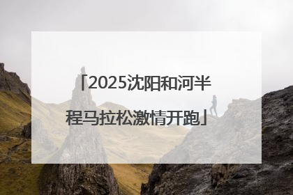 2025沈阳和河半程马拉松激情开跑