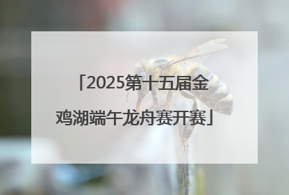 2025第十五届金鸡湖端午龙舟赛开赛
