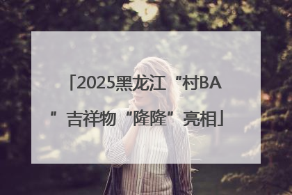 2025黑龙江“村BA”吉祥物“隆隆”亮相