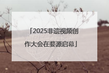 2025非遗视频创作大会在婺源启幕