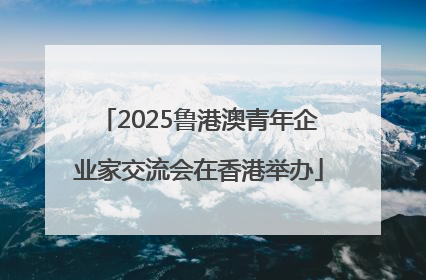 2025鲁港澳青年企业家交流会在香港举办