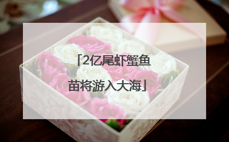 2亿尾虾蟹鱼苗将游入大海