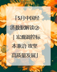 5月中国经济数据解读②｜宏观调控标本兼治 攻坚高质量发展