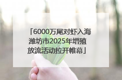6000万尾对虾入海 潍坊市2025年增殖放流活动拉开帷幕