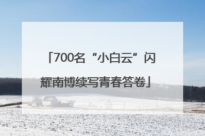 700名“小白云”闪耀南博续写青春答卷