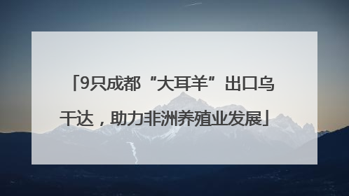 9只成都“大耳羊”出口乌干达，助力非洲养殖业发展