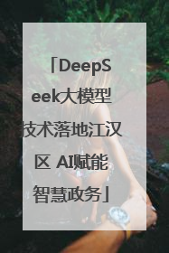 DeepSeek大模型技术落地江汉区 AI赋能智慧政务